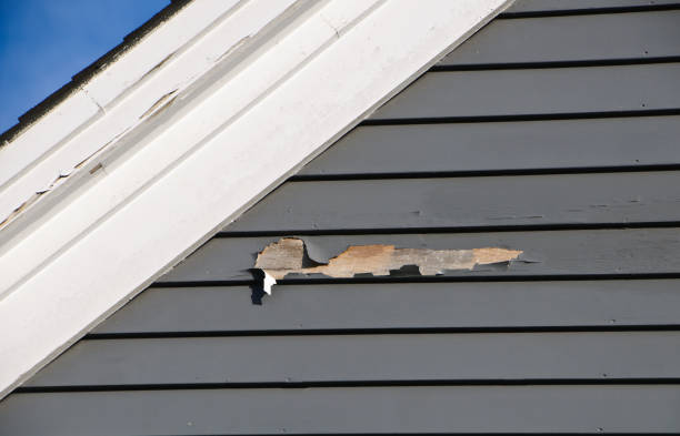 Trusted Flowery Branch, GA Siding Services Experts